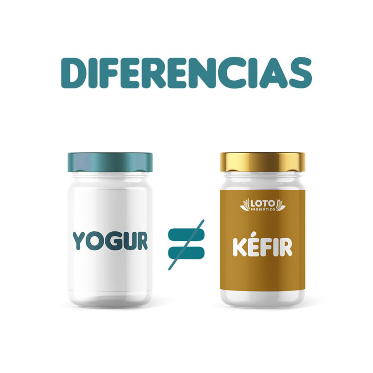 Lee más sobre el artículo Diferencias entre el yogur y el kéfir